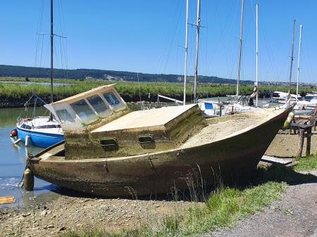FOTO Občina Piran (3)